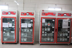 احداث پایگاه ثابت انتقال خون در جوانرود در دستور کار قرار گرفت