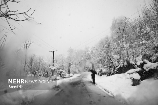 بیشترین میانگین بارش در سمیرم ثبت شد