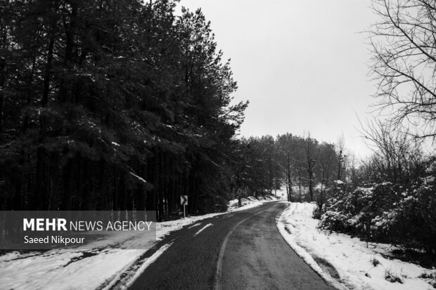 بارش «برف و باران» محورهای استان سمنان را لغزنده کرد