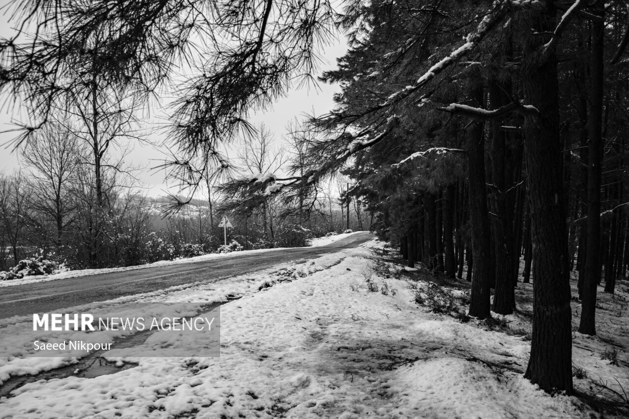 مرادی: تردد در محورهای کوهستانی گیلان با زنجیر چرخ امکانپذیر است مرادی: تردد در محورهای کوهستانی گیلان با زنجیر چرخ امکانپذیر است
