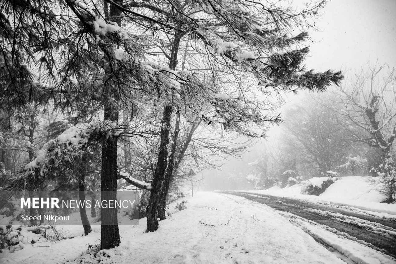 مرادی: بارش شدید برف در ۷ محور گیلان؛ تردد جریان دارد مرادی: بارش شدید برف در ۷ محور گیلان؛ تردد جریان دارد