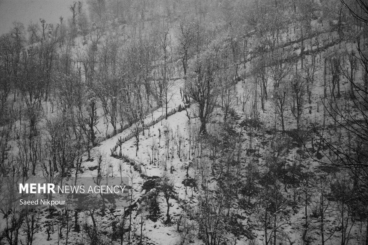 صدور هشدار سطح زرد هواشناسی در گیلان؛ بارش برف در راه است صدور هشدار سطح زرد هواشناسی در گیلان؛ بارش برف در راه است