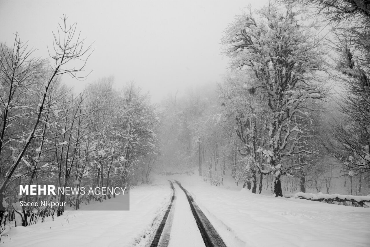 داداشی: بارش برف ۷۰ سانتی در اشکور رحیم آباد؛ راه ۵۰ روستا مسدود است داداشی: بارش برف ۷۰ سانتی در اشکور رحیم آباد؛ راه ۵۰ روستا مسدود است