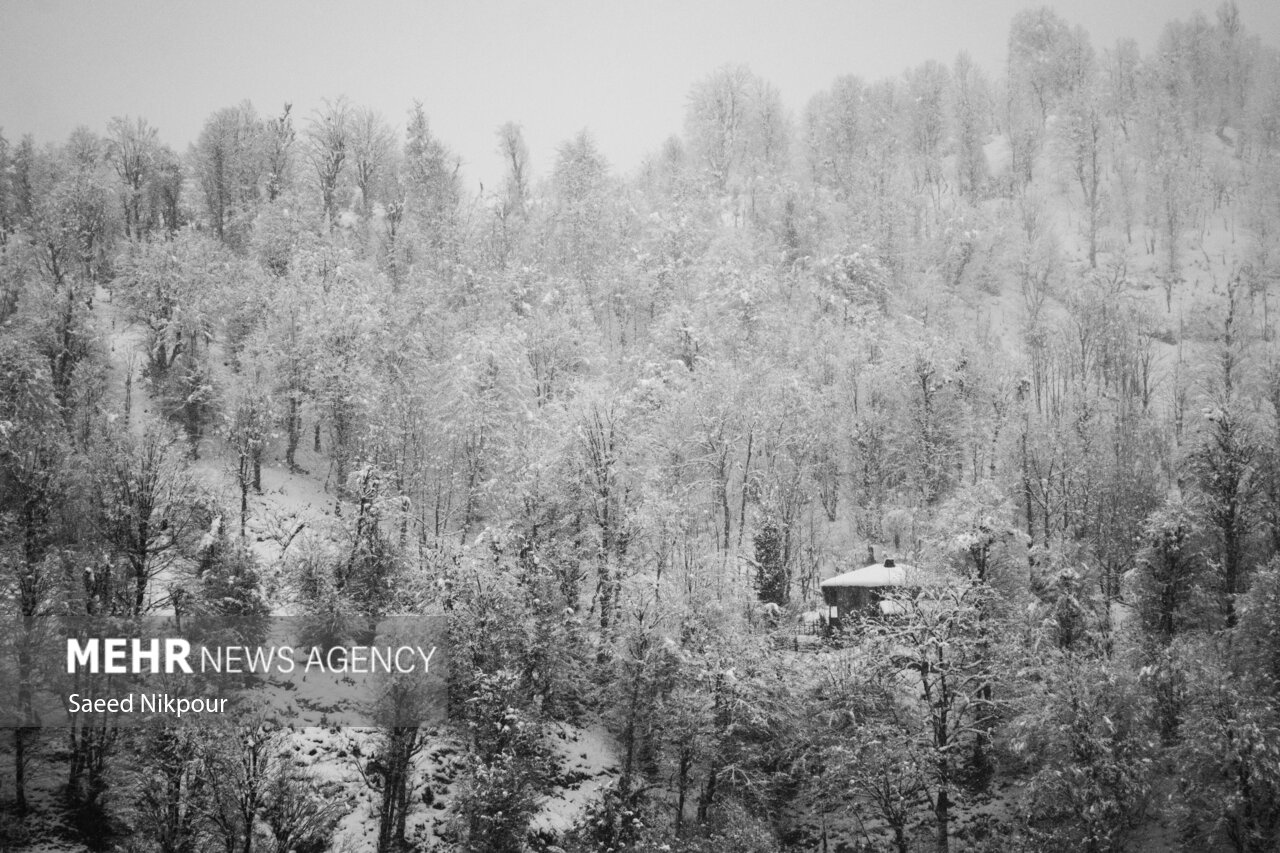 سفیدپوشی کم سابقه ارتفاعات گیلان؛ برف یک و نیم متری در اشکورات سفیدپوشی کم سابقه ارتفاعات گیلان؛ برف یک و نیم متری در اشکورات