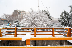 هوای مشهد پاک است