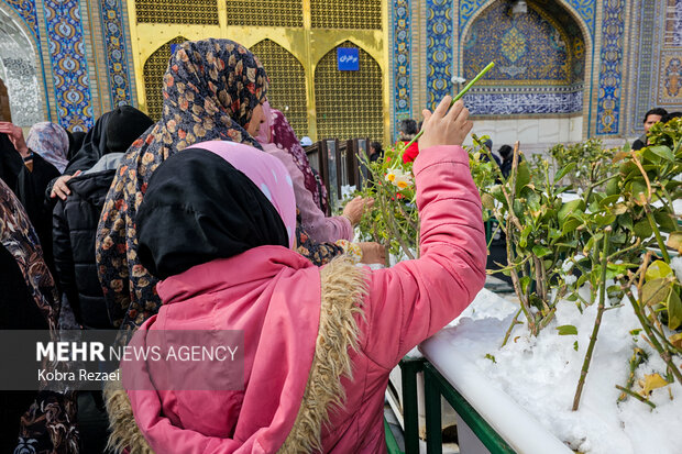 زیارت حرم امام رضا(ع) در زمستان برفی