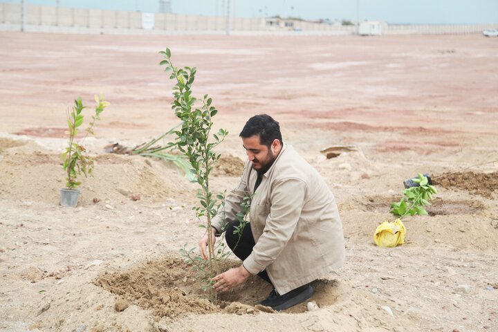 تولید ۳.۵ میلیون اصله نهال در هرمزگان با مشارکت مردم