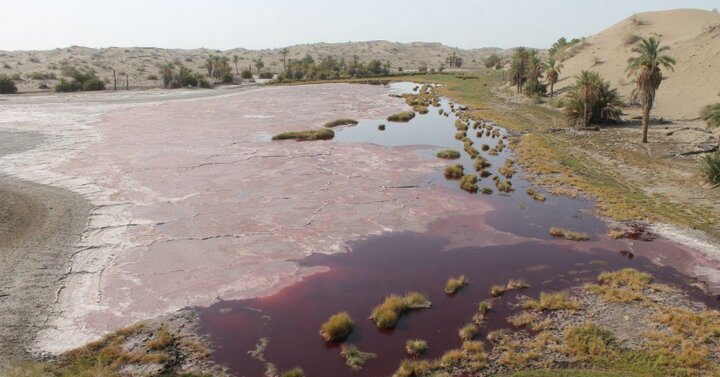 بستر خشکیده جازموریان کانون ریزگردها در جنوب کرمان