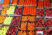 تأمین و توزیع میوه شب عید در گلستان؛۱۷ مرکز فعال شدند