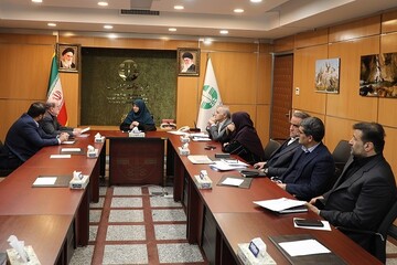 شینا انصاری با جمعی از نمایندگان مجلس دیدار کرد