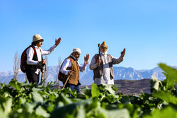 آئین نوروزخوانی در روستای تاریخی کفشگیری