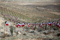 بوستان «امام شهید امت» در شیراز؛ پیوندی سبز با فرهنگ ایثار و شهادت