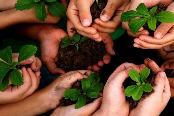 روایت احیای جنگلهای گلستان در آخرین سال طرح یک میلیارد درخت