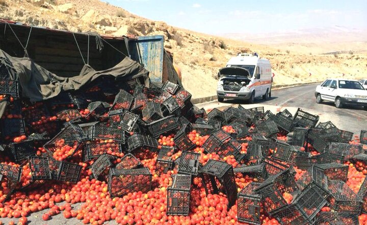 کامیون گوجه فرنگی در آزادراه اصفهان- نطنز واژگون شد کامیون گوجه فرنگی در آزادراه اصفهان- نطنز واژگون شد
