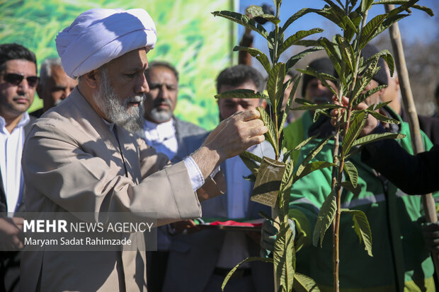 روز درختکاری در شیراز