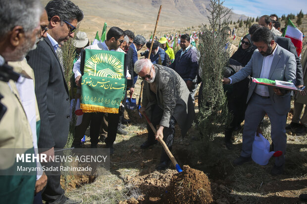 بوستان «امام شهید امت» در شیراز؛ پیوندی سبز با فرهنگ ایثار و شهادت