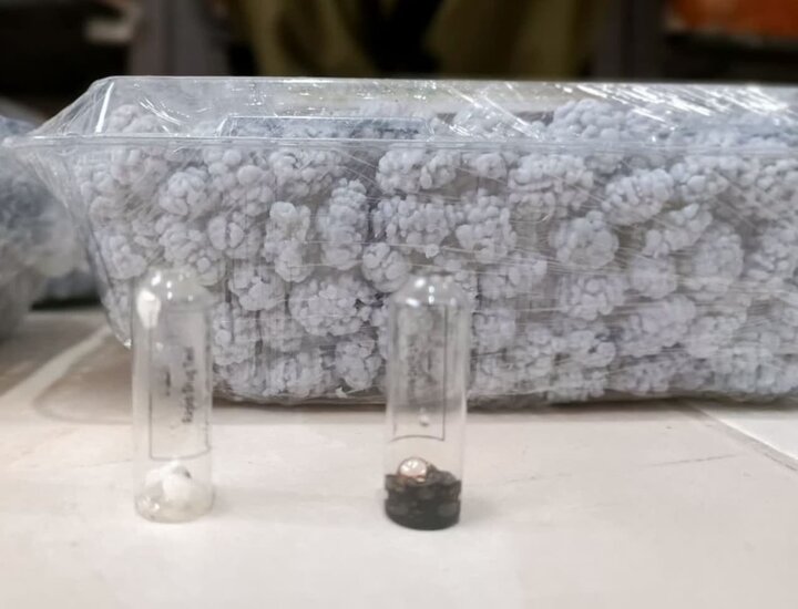 توقیف نقلهای شیشهای توسط مرزبانان هنگ تایباد