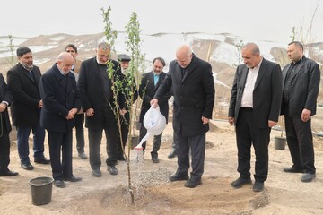 قالیباف یک اصله نهال مثمر را در شرق شهر تهران غرس کرد