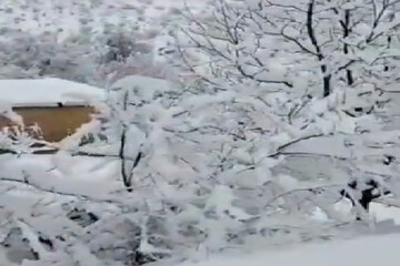 شاهد بالفيديو..الثلج يغطى قرية "مارغون" جنوب ايران