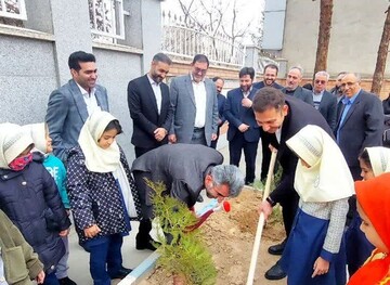 ۷ برنامه غرس نهال در سطح شهر سمنان اجرا می‌شود