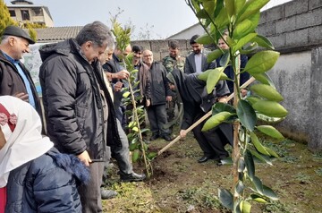 توزیع ۴۸ هزار اصله نهال همزمان با هفته منابع طبیعی در رودسر