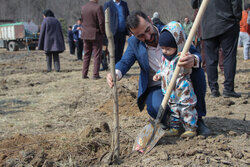 آئین روز درختکاری در گرگان