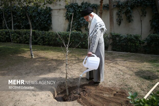 کاشت سه اصله نهال توسط رهبر انقلاب در روز درختکاری