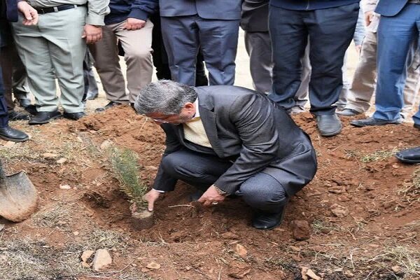 «کاشت» و «داشت» درختان هر دو اهمیت دارند