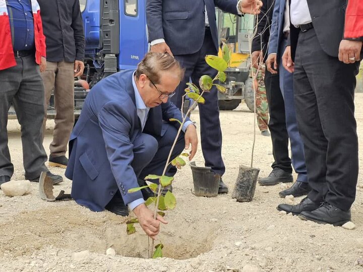 شهرستان دیر قطب تولید نهال «حرا» است