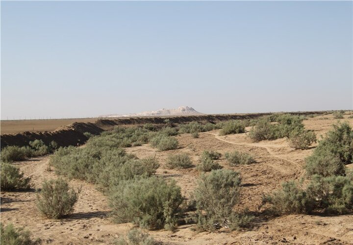 مساحت منابع طبیعی استان قم به یک میلیون هکتار میرسد مساحت منابع طبیعی استان قم به یک میلیون هکتار میرسد