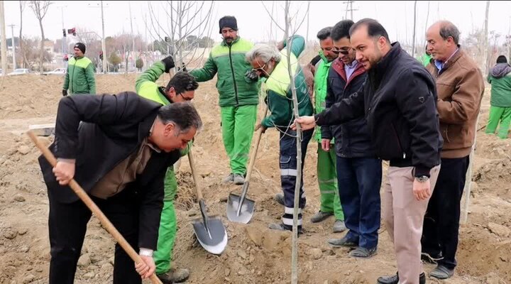 هزینه نگهداری فضای سبز گلپایگان سالانه ۵۱ میلیارد تومان است هزینه نگهداری فضای سبز گلپایگان سالانه ۵۱ میلیارد تومان است