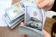İran'da doların güncel fiyatı