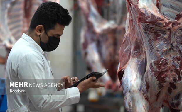 تشدید نظارتهای دامپزشکی کرمانشاه بر اماکن عرضه فرآوردههای خام دامی تشدید نظارتهای دامپزشکی کرمانشاه بر اماکن عرضه فرآوردههای خام دامی