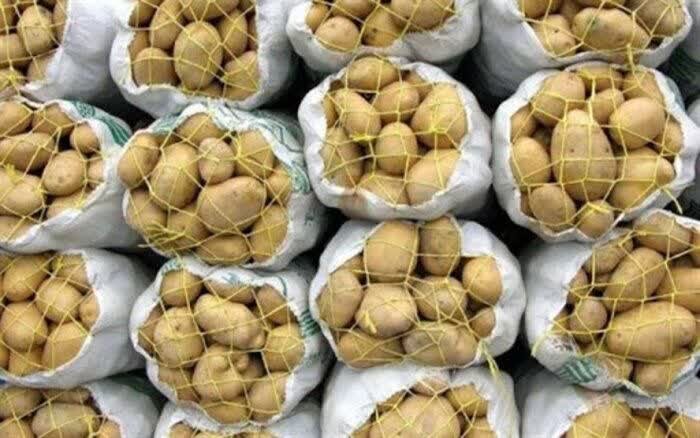 عرضه گسترده میوه و سیبزمینی توسط سازمان تعاون روستایی در سراسر کشور عرضه گسترده میوه و سیبزمینی توسط سازمان تعاون روستایی در سراسر کشور