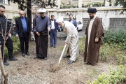 منتظری: به زمین‌خواری و قلع و قمع درختان بدون مسامحه رسیدگی می‌کنیم