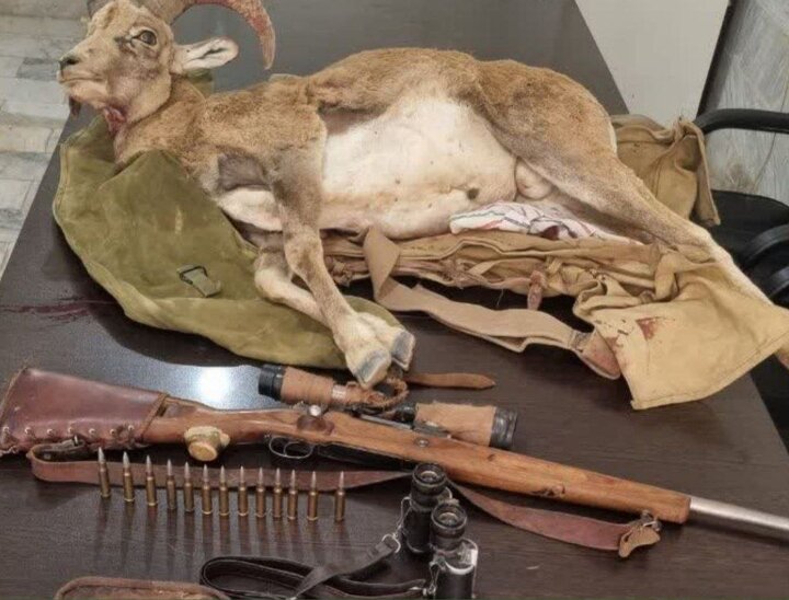 شکارچی شرور و سابقه دار در شاهرود دستگیر شد