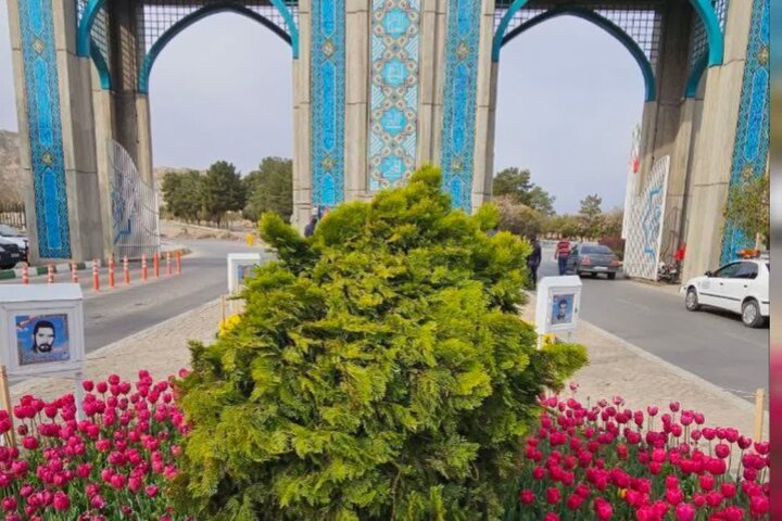 کاشت ۱۲ هزار گل لاله در آرامستانهای مشهد در آستانه بهار ۱۴۰۴ کاشت ۱۲ هزار گل لاله در آرامستانهای مشهد در آستانه بهار ۱۴۰۴