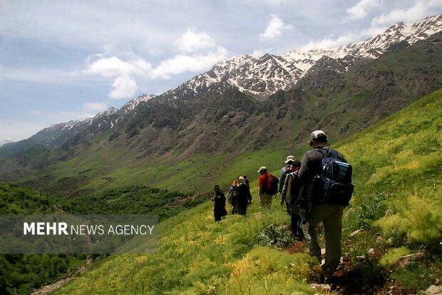 تعاونی منابع طبیعی اصفهان برای راه‌اندازی گردشگری مراتع آمادگی دارد