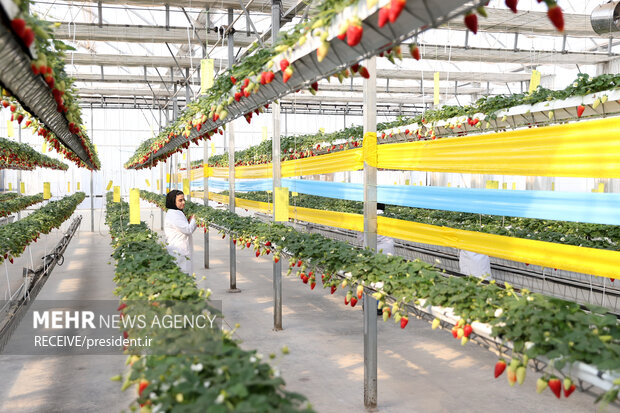 سفر رئیس‌جمهور به جنوب شرق استان تهران