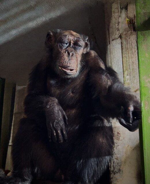 خداحافظی «پرویز» با ارم خداحافظی «پرویز» با ارم