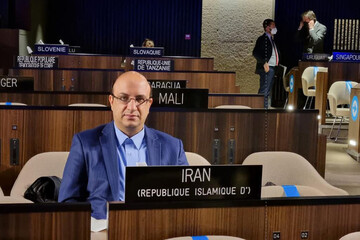 علی‌نژاد: تکواندوکاران پومسه در روز اول غوغا کردند