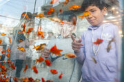 Nowruz market in Mashhad