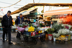 ایمنی بازار گل شهید محلاتی نیازمند تعیین تکلیف مالکیت است