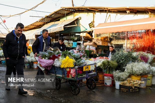 بازار گل محلاتی در آستانه نوروز