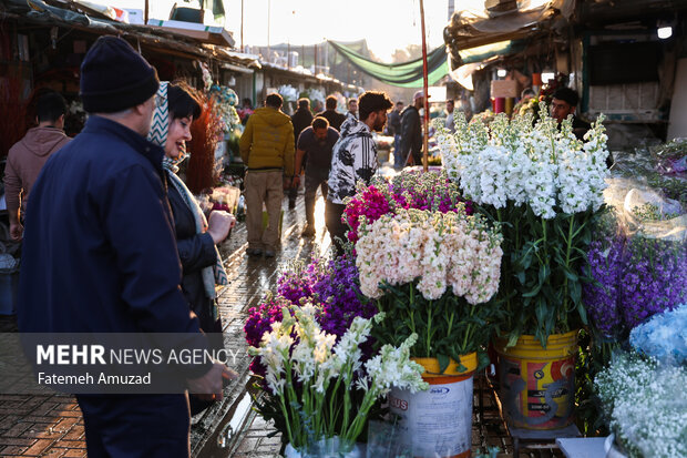 بازار گل محلاتی در آستانه نوروز