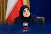 مهاجراني: فرض العقوبات على وزير النفط يدل على نجاحه في عمله