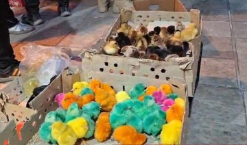 بازار بی رمق شهرستان محلات در آستانه سال نو