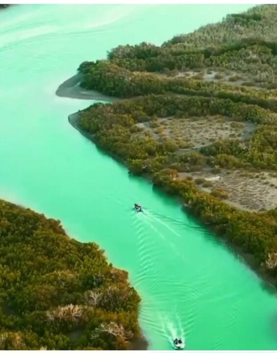 تجربهای متفاوت از کویر، دریا و جنگل در شهرستان سیریک