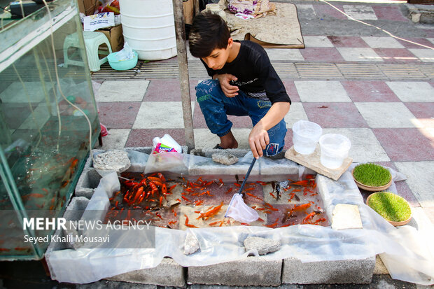 هفت سین فروشی