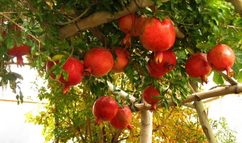 مناطق دیدنی اردستان، میزبان گردشگران نوروزی